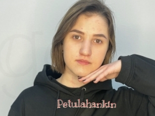 Petulahankin