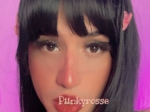 Piinkyrosse