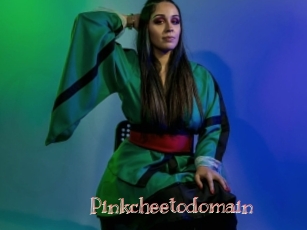 Pinkcheetodomain