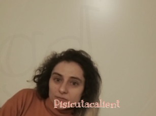 Pisicutacalient
