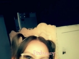 Pixbunny