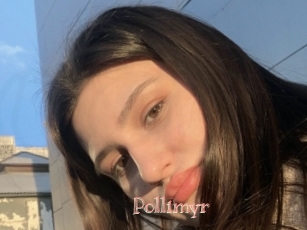 Pollimyr