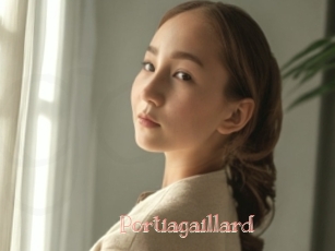 Portiagaillard