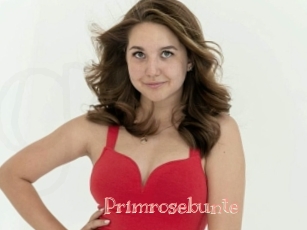 Primrosebunte