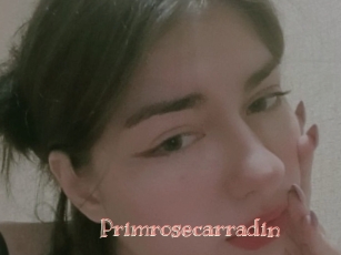 Primrosecarradin