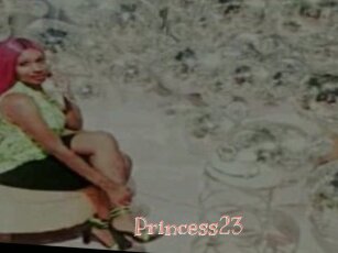 Princess23
