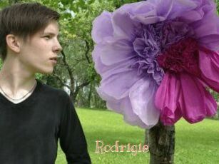 Rodrigie