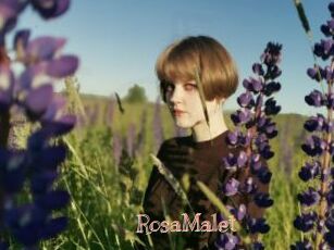 RosaMalet