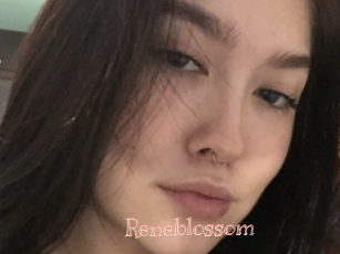 Reneblossom
