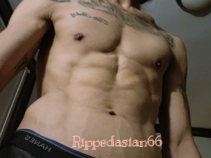 Rippedasian66