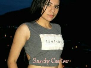 Sandy_Carter