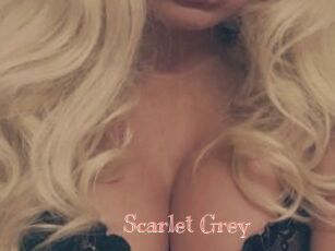 Scarlet_Grey