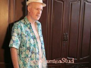 SexyStaminaStud