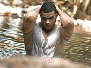Shein_A