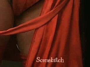 Somebitch