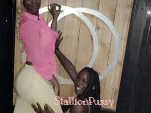 StallionPussy