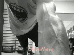 StevieVeins