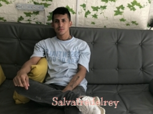 Salvatredelrey