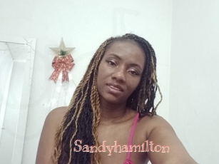 Sandyhamilton