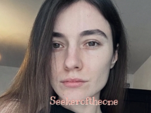 Seekeroftheone