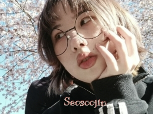 Seosoojin