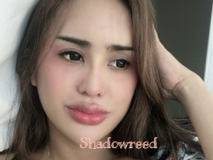 Shadowreed