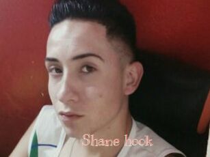 Shane_hook