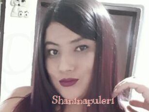 Shaninapuleri