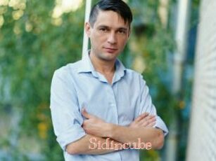 Sid_incube