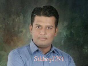 Siliboy7291