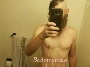 Sodomymike