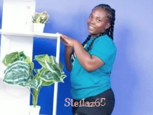Steilaz65