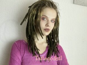 Taitegodsil
