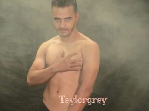 Teylorgrey