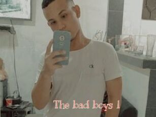The_bad_boys_1