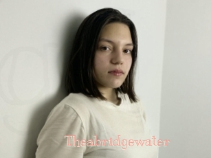 Theabridgewater