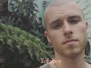 Tofu_boy