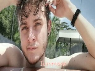 Tomrosse