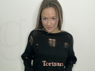 Torisan