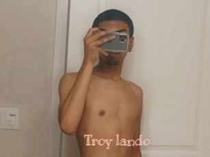 Troy_lando
