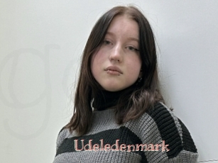 Udeledenmark