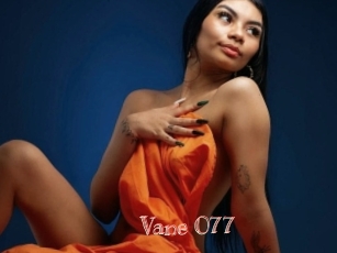 Vane_077