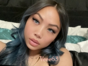 Veee63