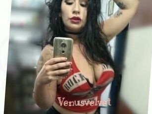 Venusvelvet