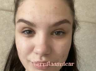 Vernitaasnicar