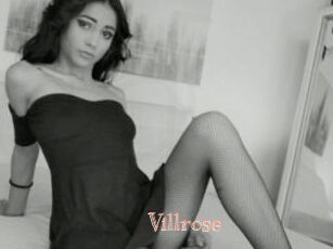 Villrose
