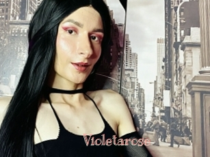 Violetarose