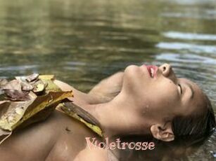 Violetrosse