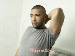 WayneBoyI