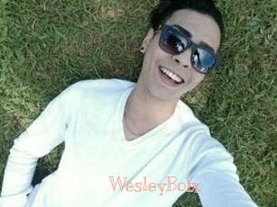 Wesley_Boix